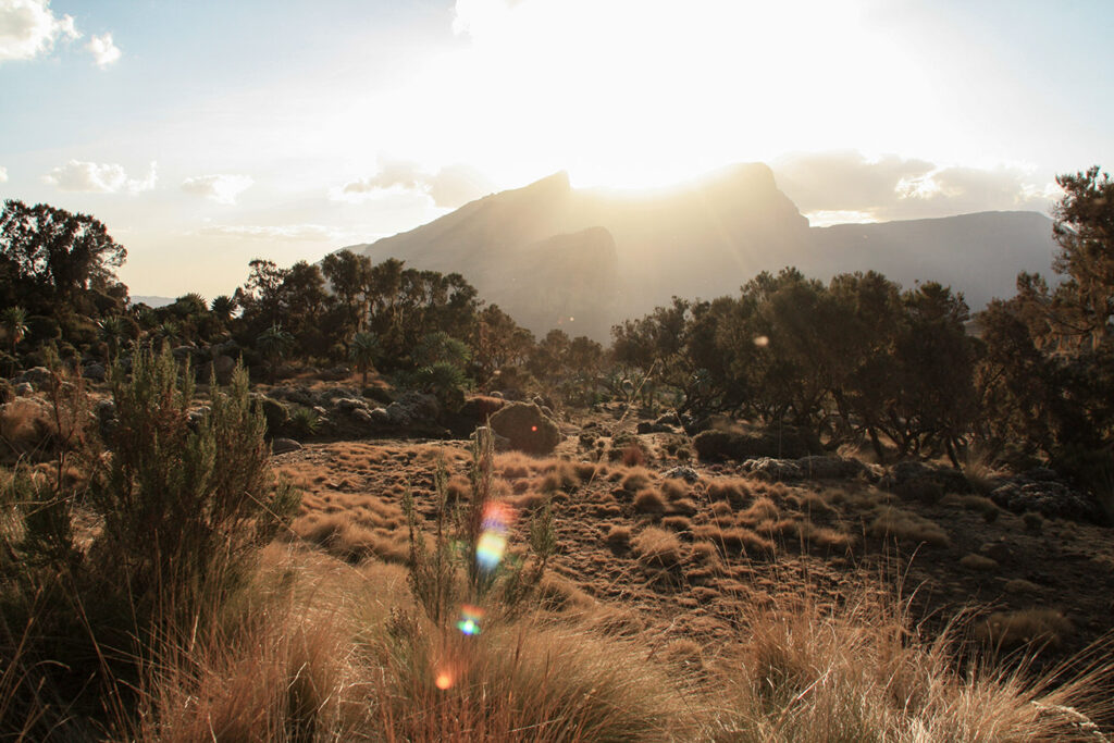 ethiopia-simien-mountains-lens-flare